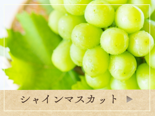 ひたちなかおいしいケーキ